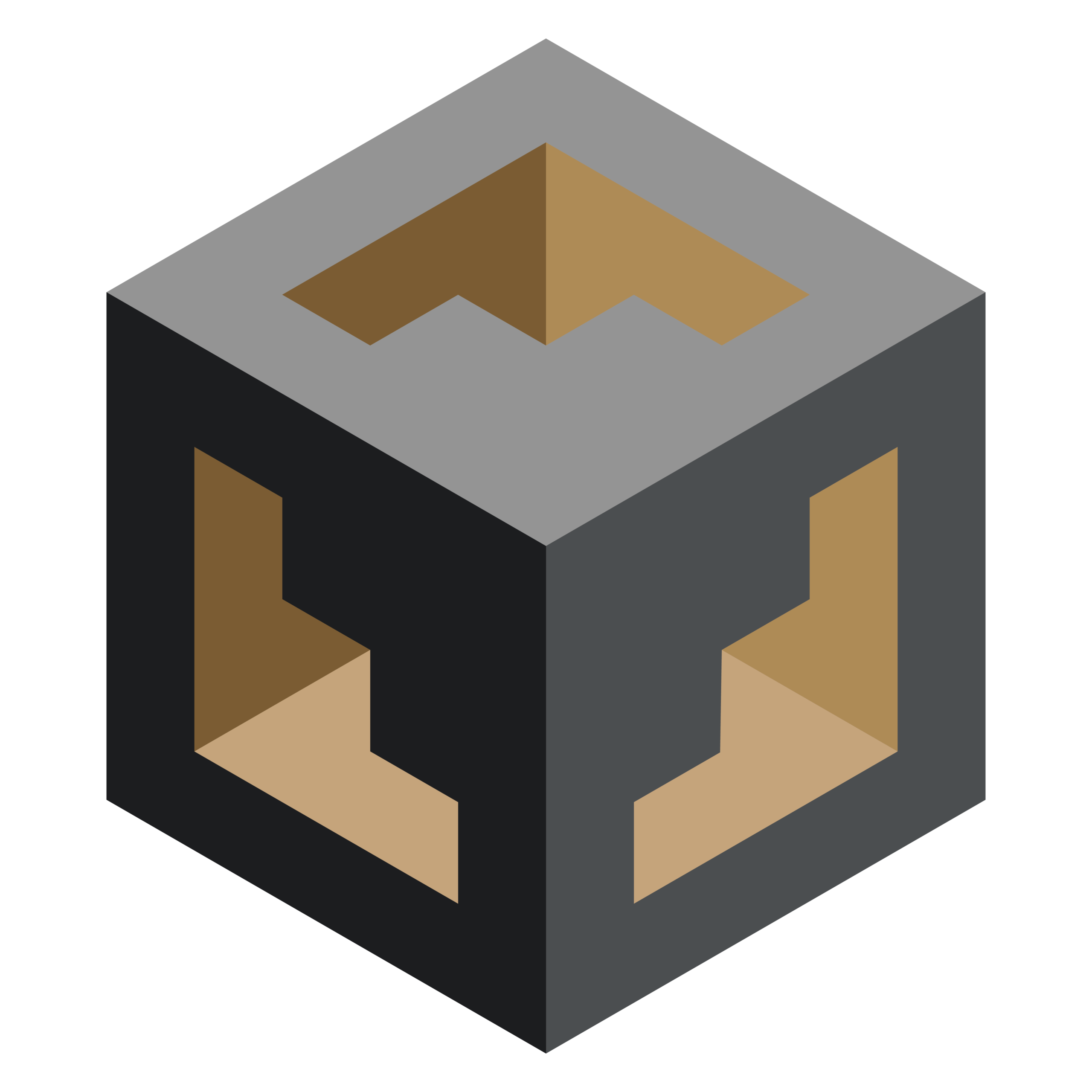 Fingerprint icon
